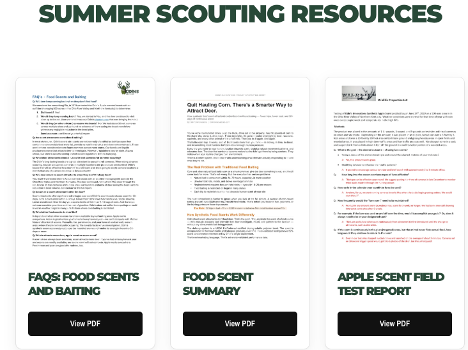 Resources for Scouting Whitetail Deer in the Summer